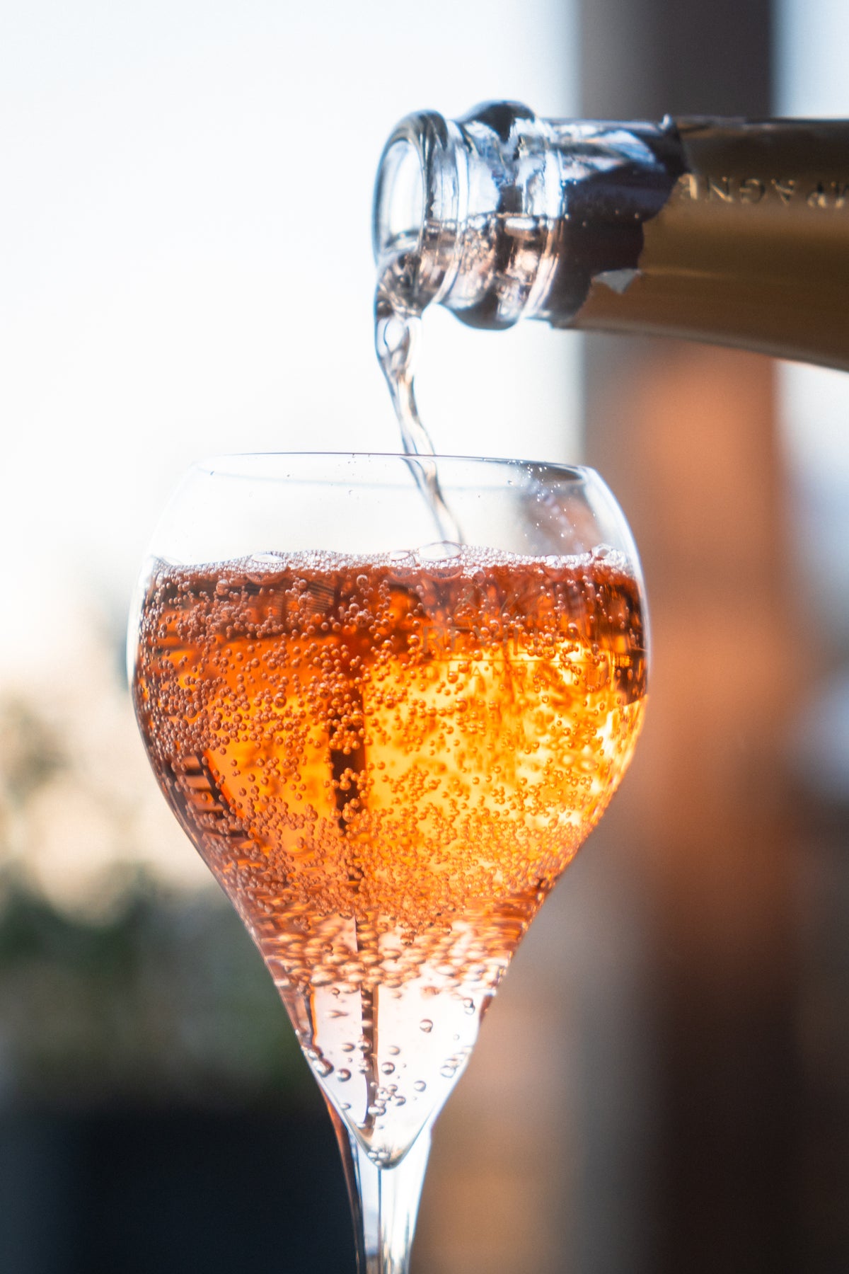 Champagne 